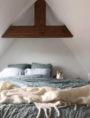 Apartment Beautiful Cosy In The Heart Of